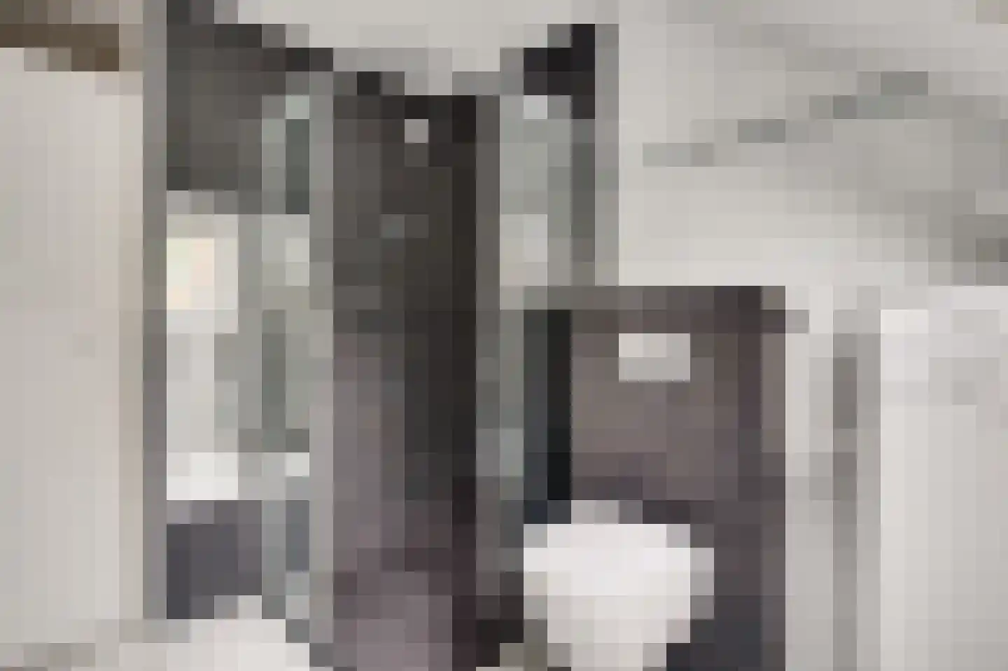 Concordiahof 19 Ittervoort thumbnail 24