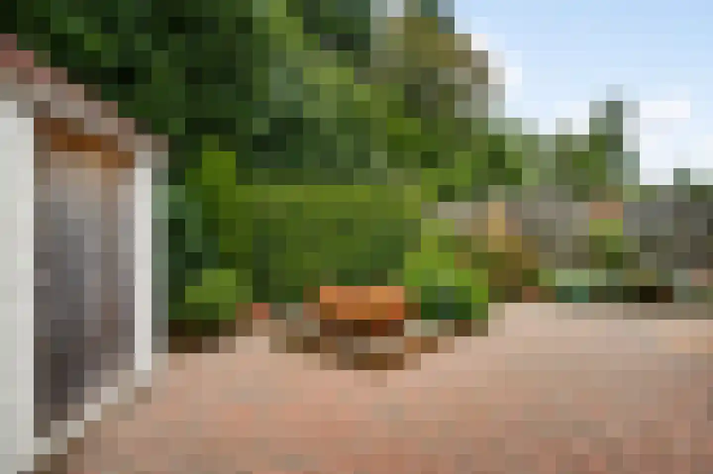 Concordiahof 19 Ittervoort thumbnail 26