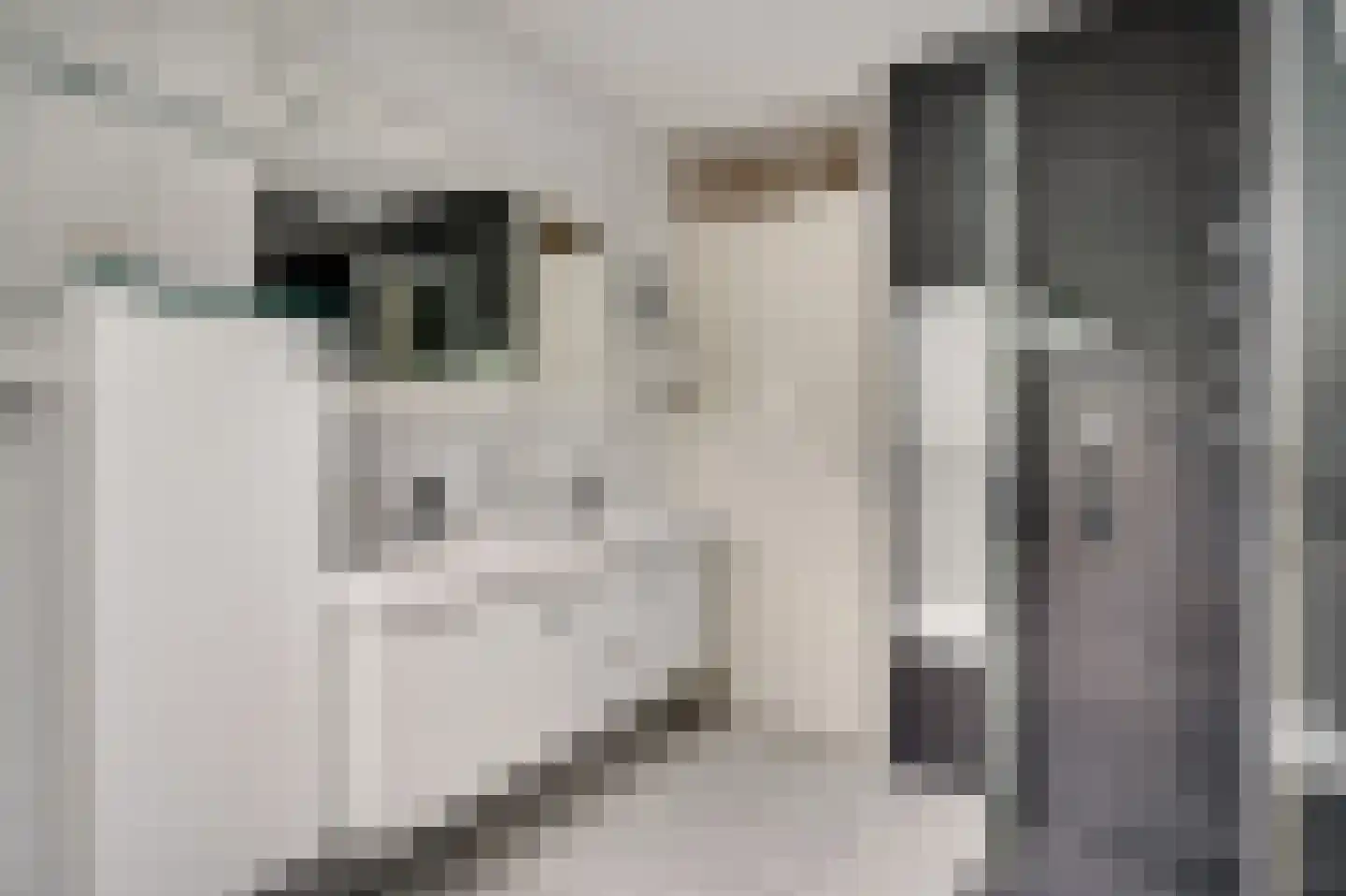 Concordiahof 19 Ittervoort thumbnail 4