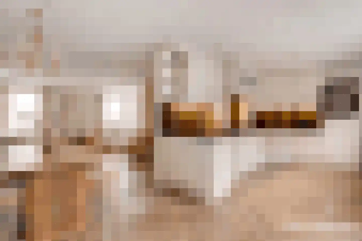 Concordiahof 19 Ittervoort thumbnail 9