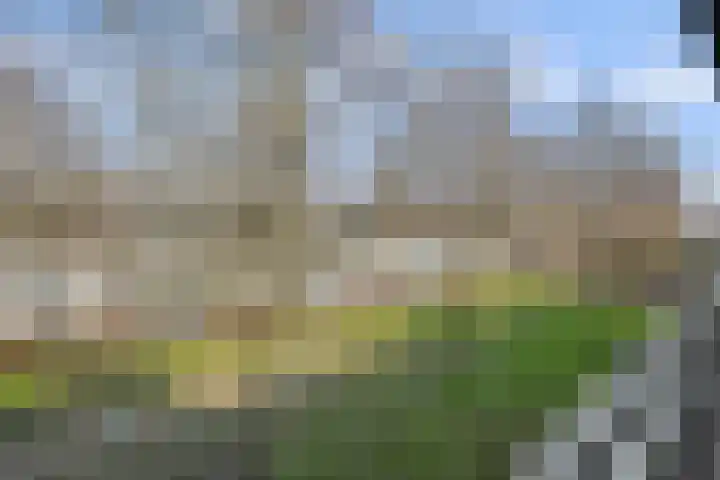 Concordialaan 10 's-Hertogenbosch thumbnail 38