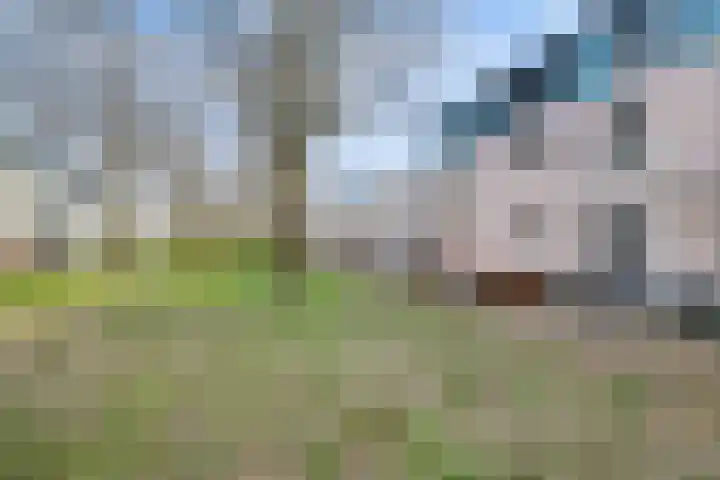 Concordialaan 10 's-Hertogenbosch thumbnail 57