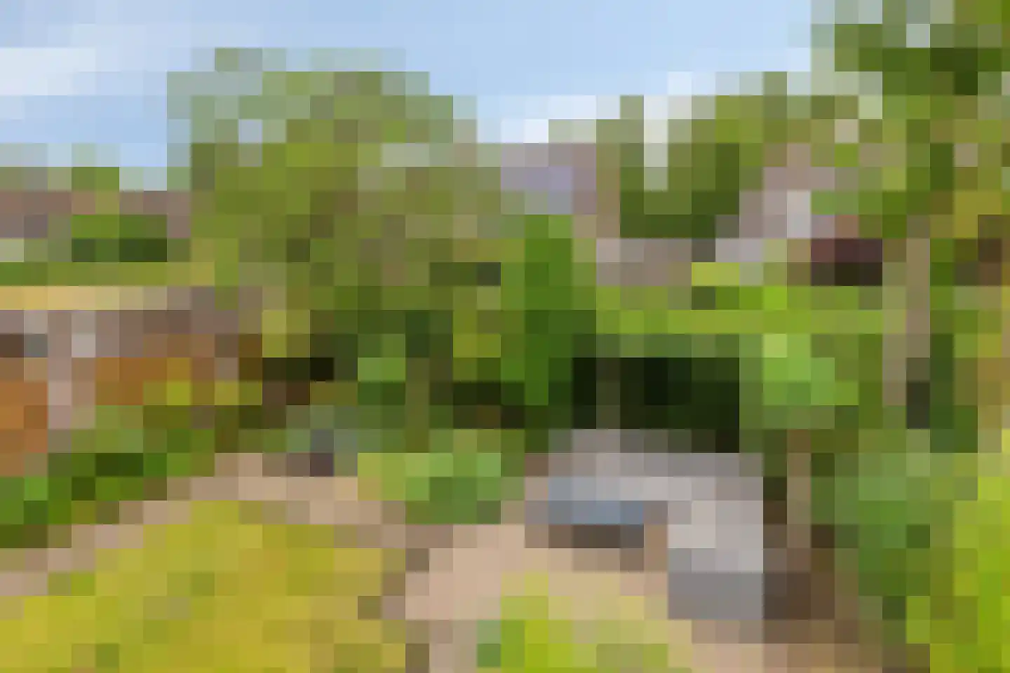Concordialaan 107 Etten-Leur thumbnail 48