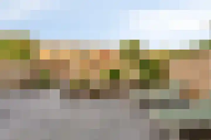 Concordialaan 139 E Etten-Leur thumbnail 19