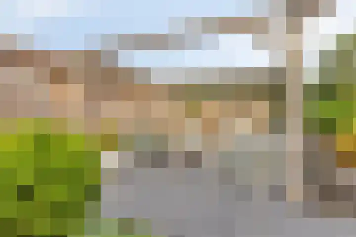 Concordialaan 139 E Etten-Leur thumbnail 22