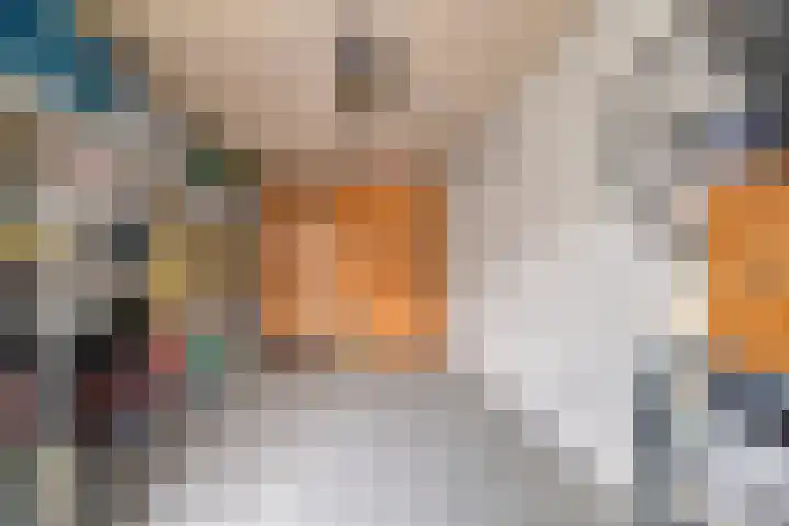 Concordialaan 139 E Etten-Leur thumbnail 25