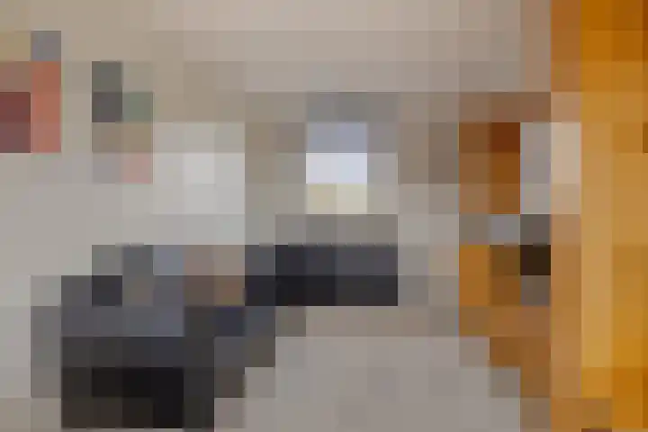 Concordialaan 139 E Etten-Leur thumbnail 32