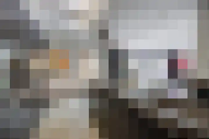 Concordialaan 145 E Etten-Leur thumbnail 13