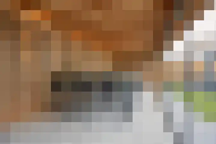 Concordialaan 145 E Etten-Leur thumbnail 19
