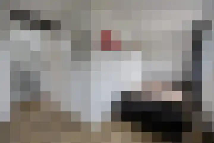 Concordialaan 145 E Etten-Leur thumbnail 30