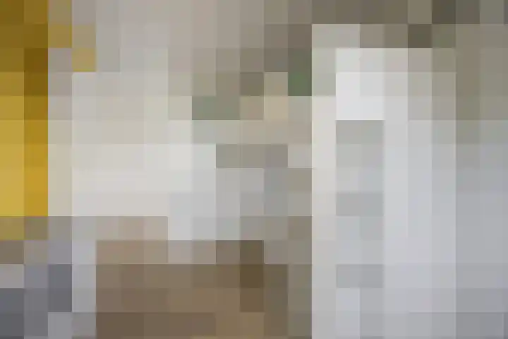 Concordialaan 145 E Etten-Leur thumbnail 36