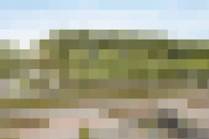 Concordialaan 145 E Etten-Leur thumbnail 44