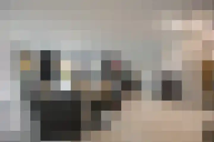 Concordialaan 145 E Etten-Leur thumbnail 7