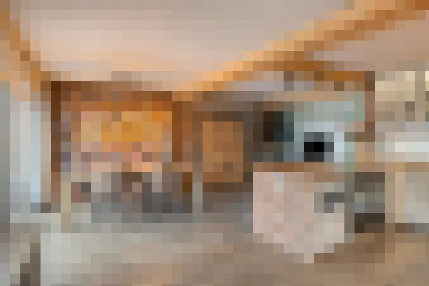 Concordialaan 159 Etten-Leur thumbnail 4