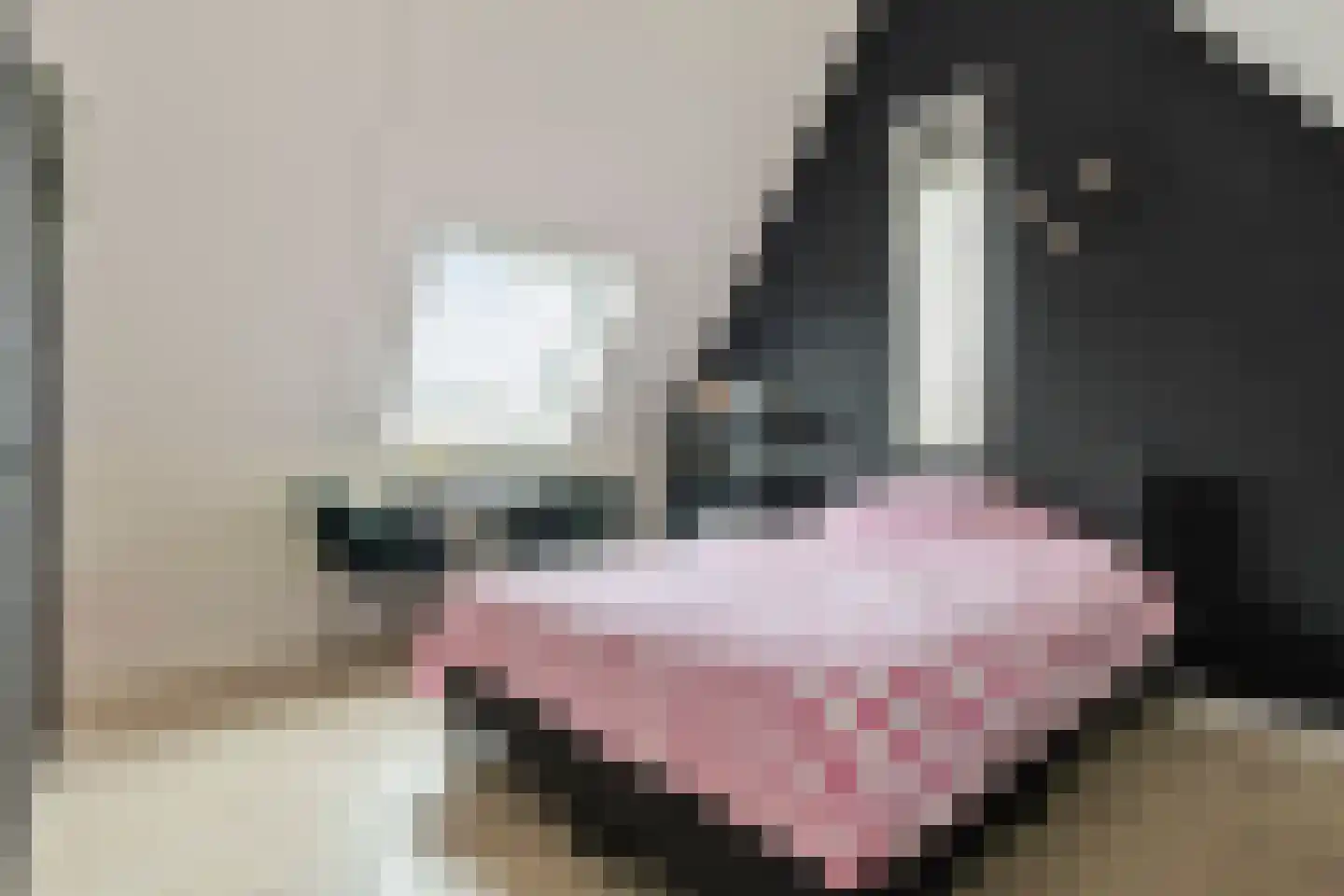 Concordialaan 169 Etten-Leur thumbnail 32