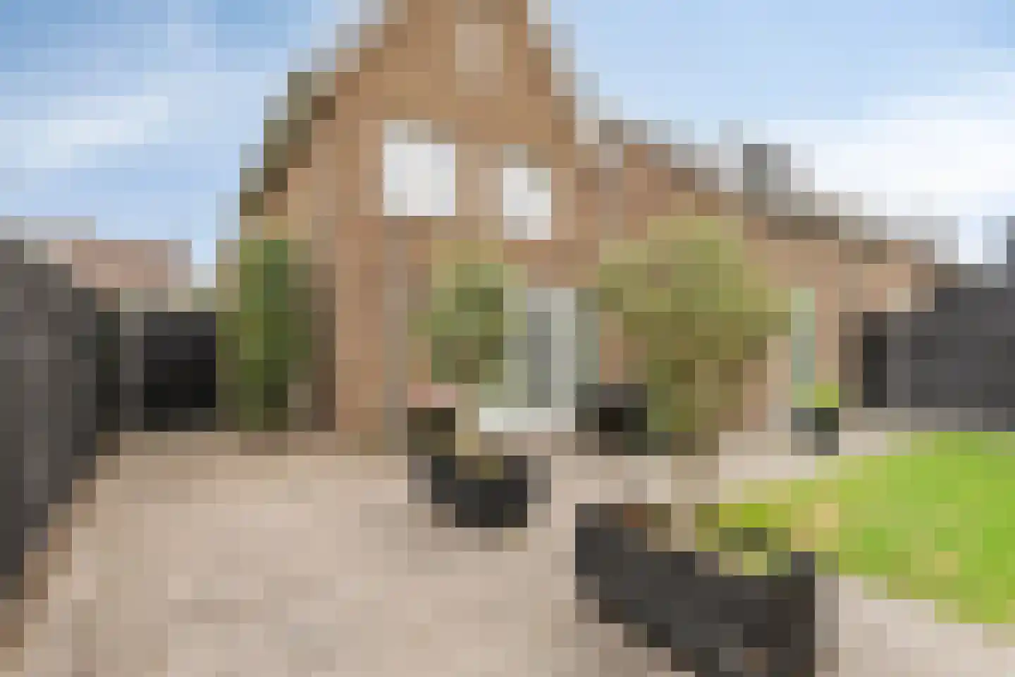 Concordialaan 169 Etten-Leur thumbnail 39