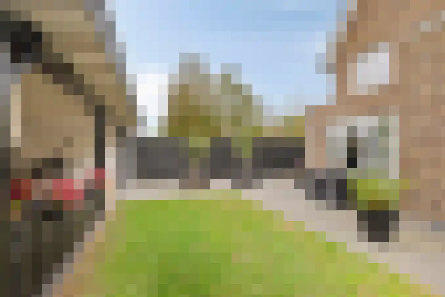 Concordialaan 169 Etten-Leur thumbnail 5