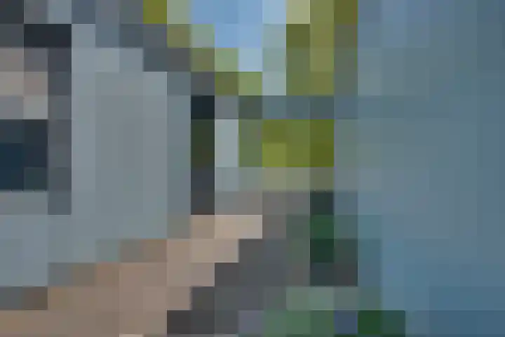 Concordialaan 24 's-Hertogenbosch thumbnail 20