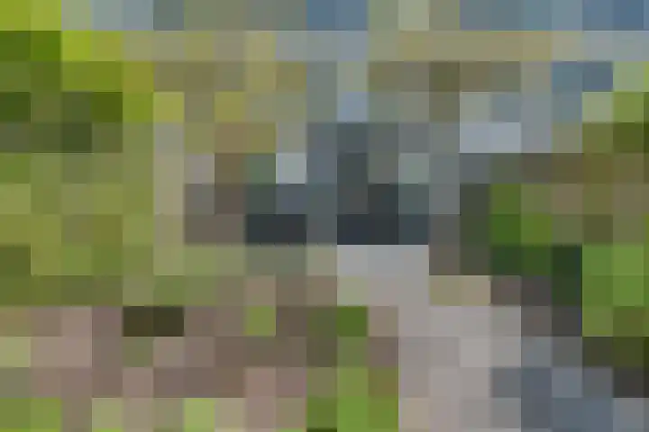 Concordialaan 24 's-Hertogenbosch thumbnail 26
