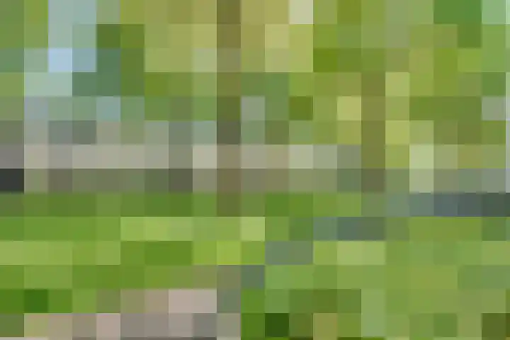 Concordialaan 24 's-Hertogenbosch thumbnail 29