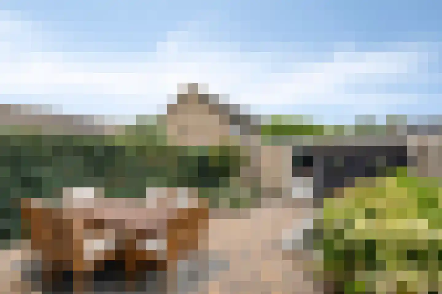 Concordialaan 258 Etten-Leur thumbnail 33