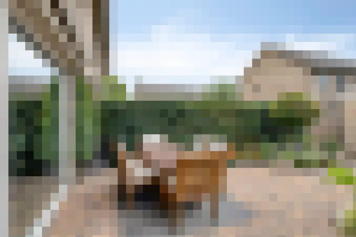 Concordialaan 258 Etten-Leur thumbnail 34