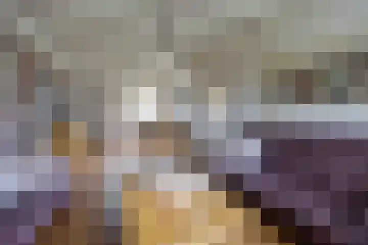 Concordialaan 264 Etten-Leur thumbnail 10