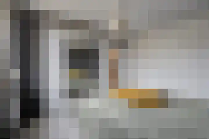 Concordialaan 264 Etten-Leur thumbnail 19