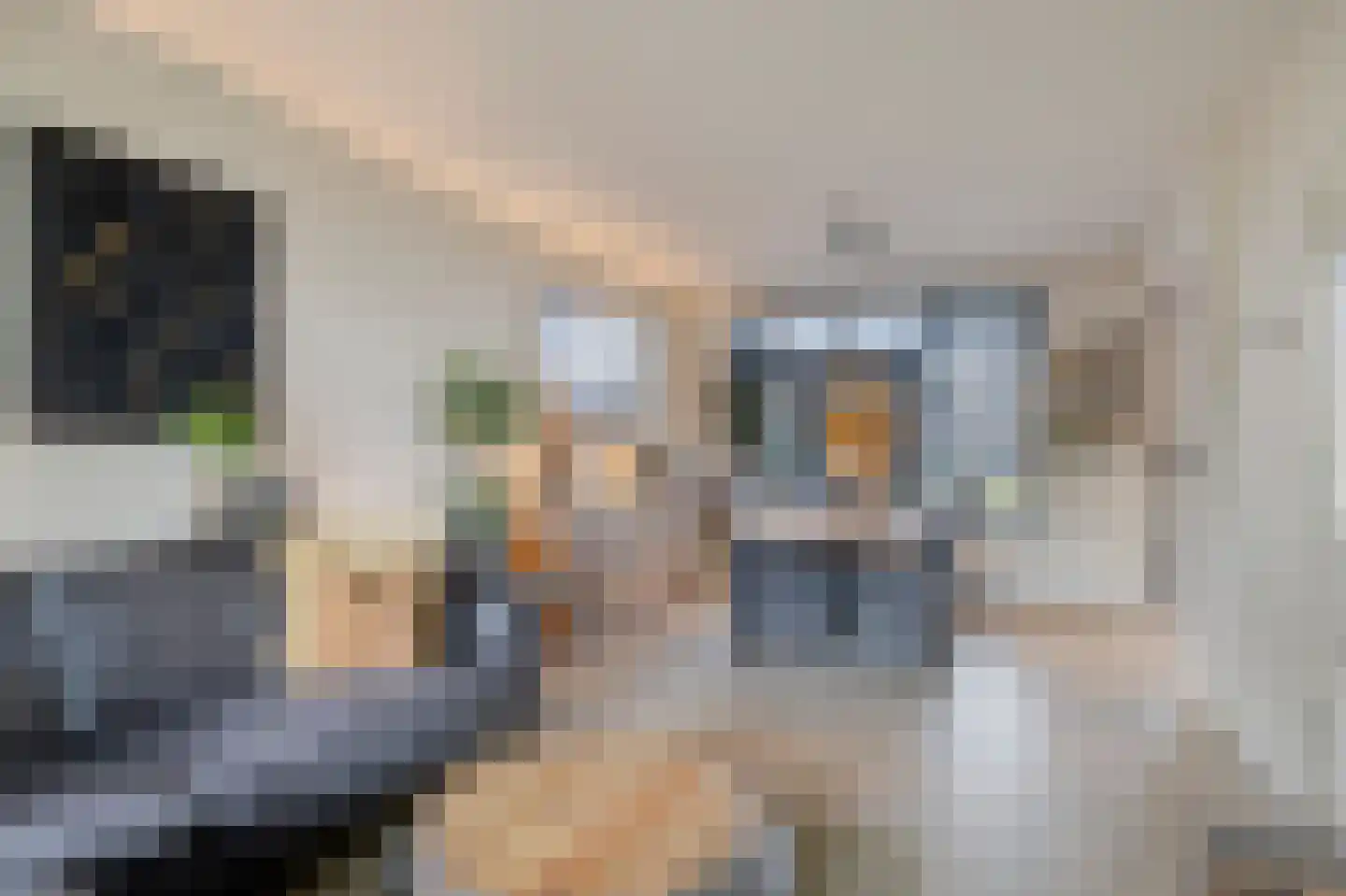 Concordialaan 275 Etten-Leur thumbnail 7
