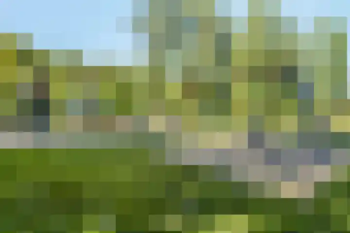 Concordialaan 50 's-Hertogenbosch thumbnail 28