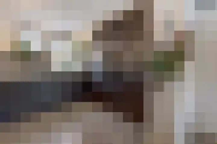 Concordialaan 53 's-Hertogenbosch thumbnail 11