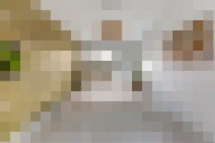 Concordialaan 53 's-Hertogenbosch thumbnail 30