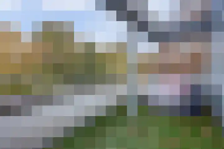 Concordialaan 53 's-Hertogenbosch thumbnail 33
