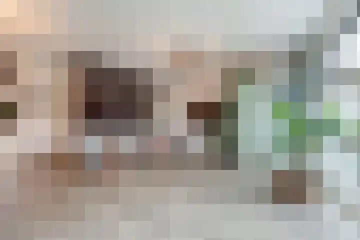 Concordialaan 53 's-Hertogenbosch thumbnail 4