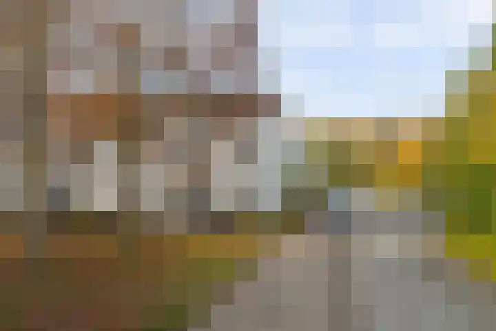 Concordialaan 53 's-Hertogenbosch thumbnail 50