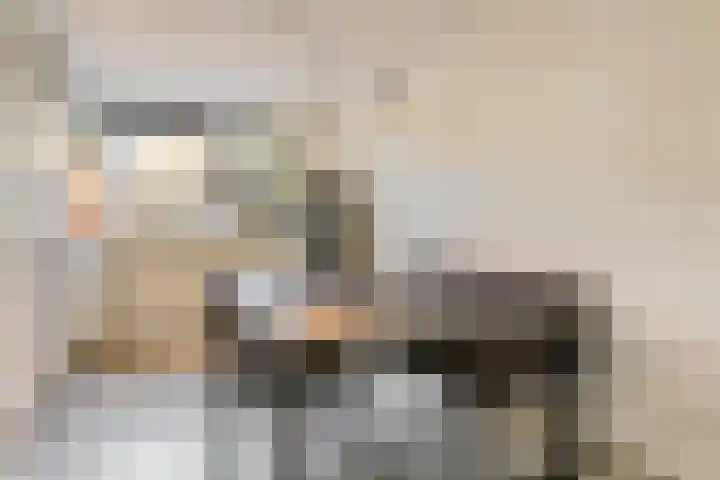 Concordialaan 76 's-Hertogenbosch thumbnail 11