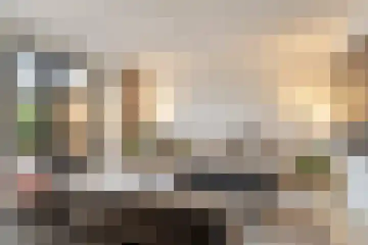 Concordialaan 76 's-Hertogenbosch thumbnail 19