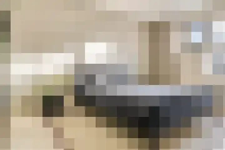 Concordialaan 76 's-Hertogenbosch thumbnail 30