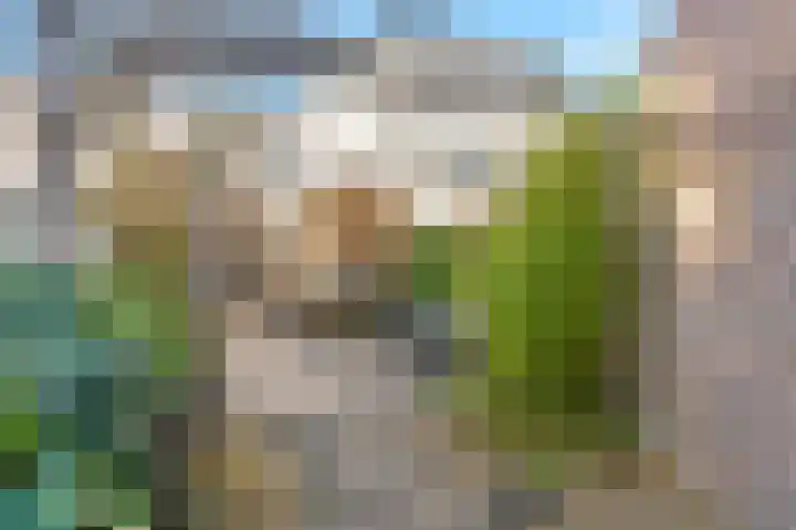 Concordialaan 76 's-Hertogenbosch thumbnail 48