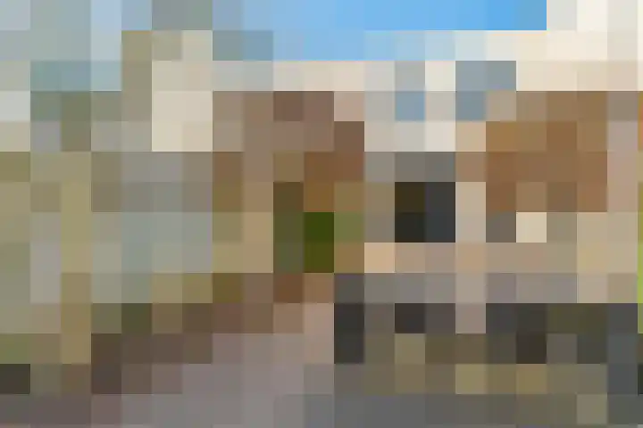 Concordialaan 76 's-Hertogenbosch thumbnail 49