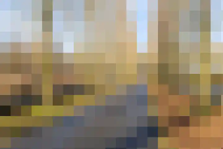 Concordialaan 76 's-Hertogenbosch thumbnail 58