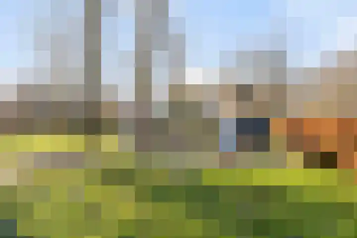 Concordialaan 76 's-Hertogenbosch thumbnail 59