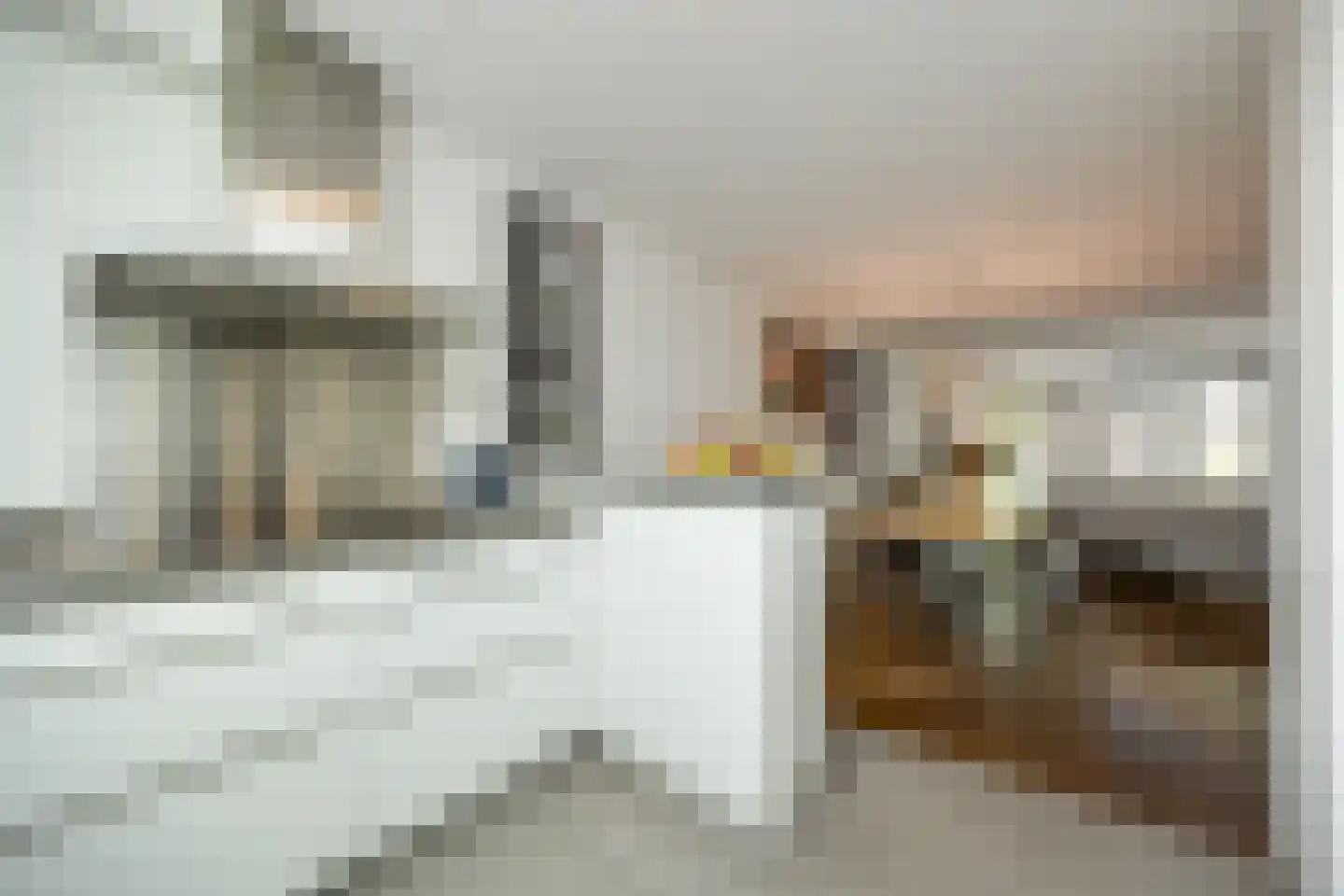 Concordialaan 91 's-Hertogenbosch thumbnail 13