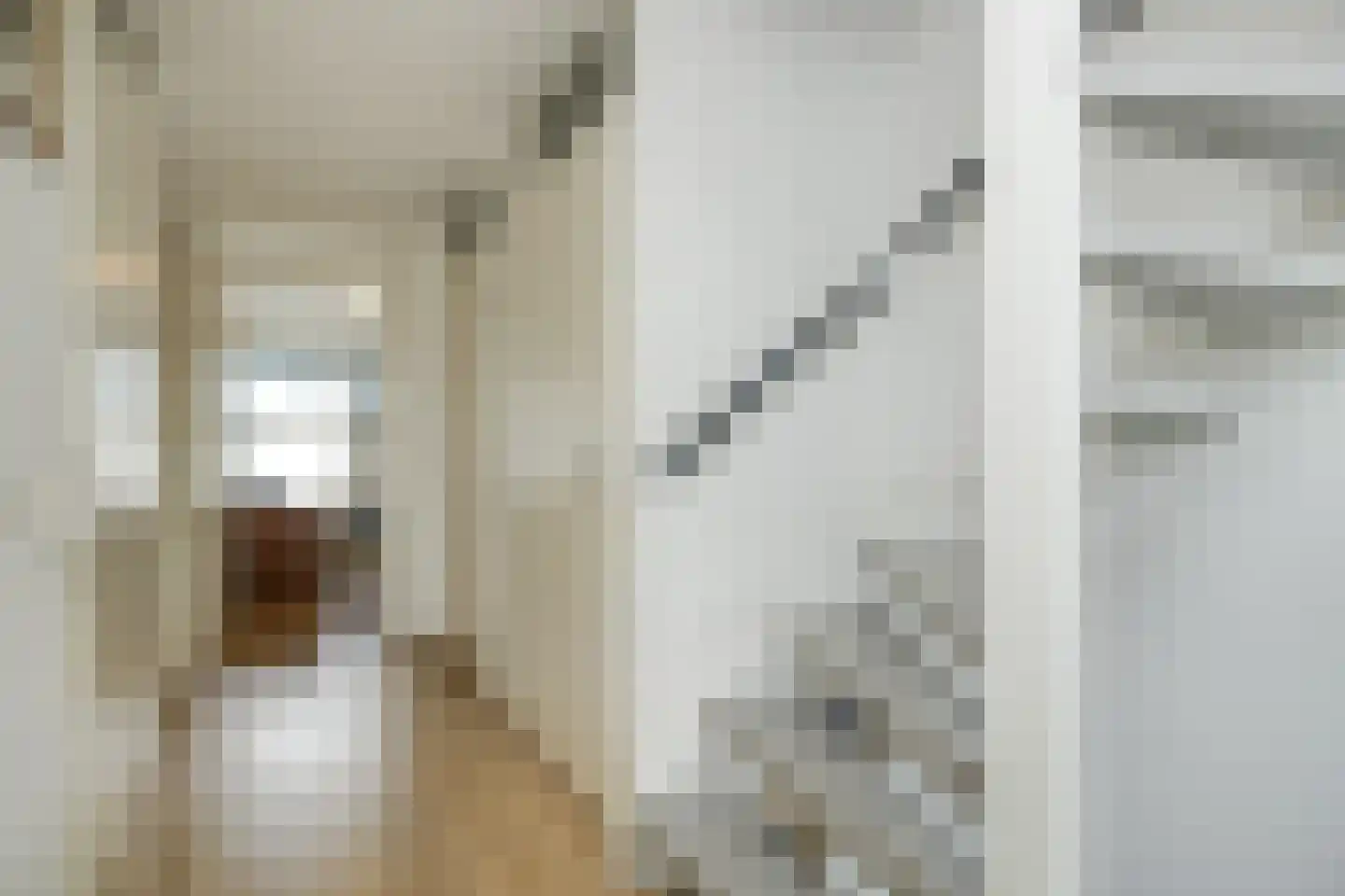 Concordialaan 91 's-Hertogenbosch thumbnail 19