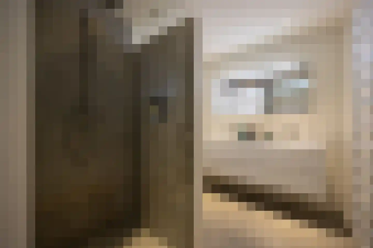 Concordialaan 91 's-Hertogenbosch thumbnail 24