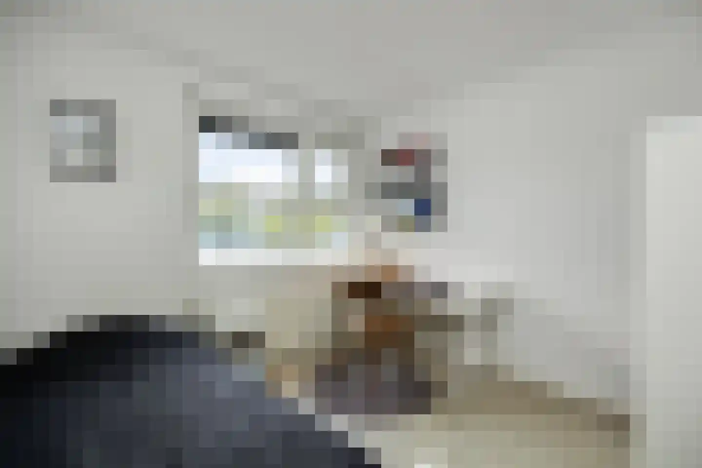 Concordialaan 91 's-Hertogenbosch thumbnail 28