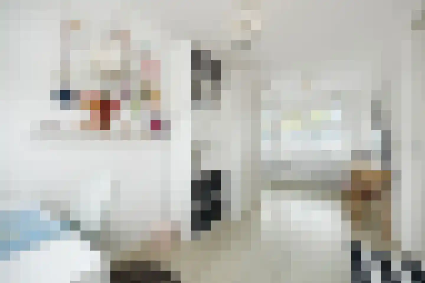 Concordialaan 91 's-Hertogenbosch thumbnail 30