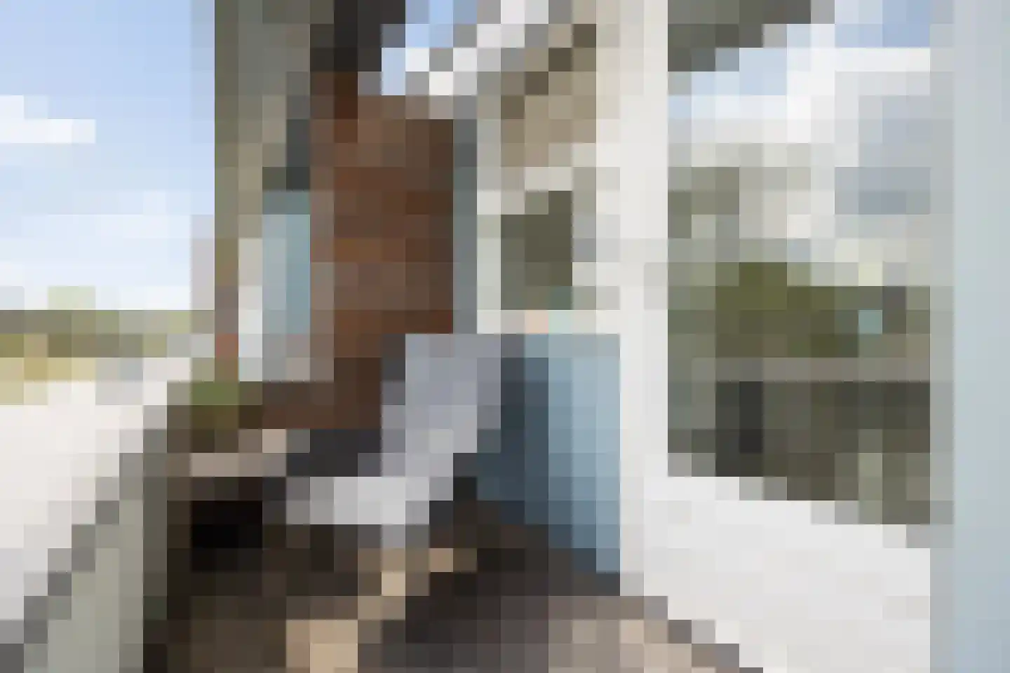 Concordialaan 91 's-Hertogenbosch thumbnail 33
