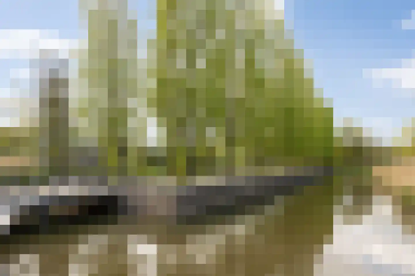 Concordialaan 91 's-Hertogenbosch thumbnail 42