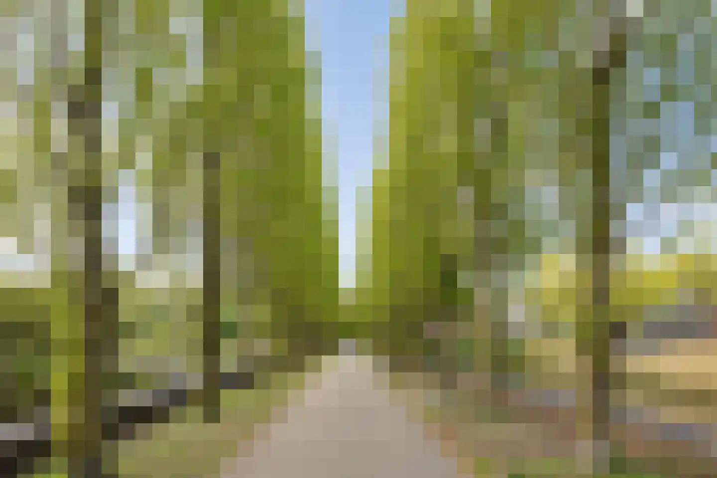 Concordialaan 91 's-Hertogenbosch thumbnail 44